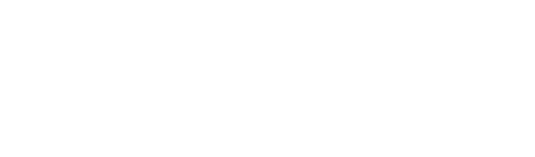 TOPS, Shape Technologies Group